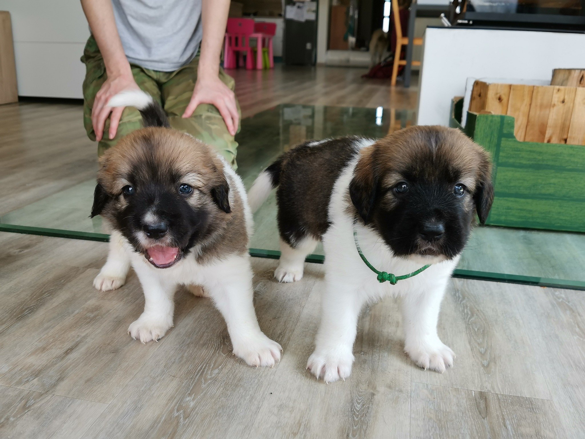 342191297_612074714158504_2203218281233476841_n