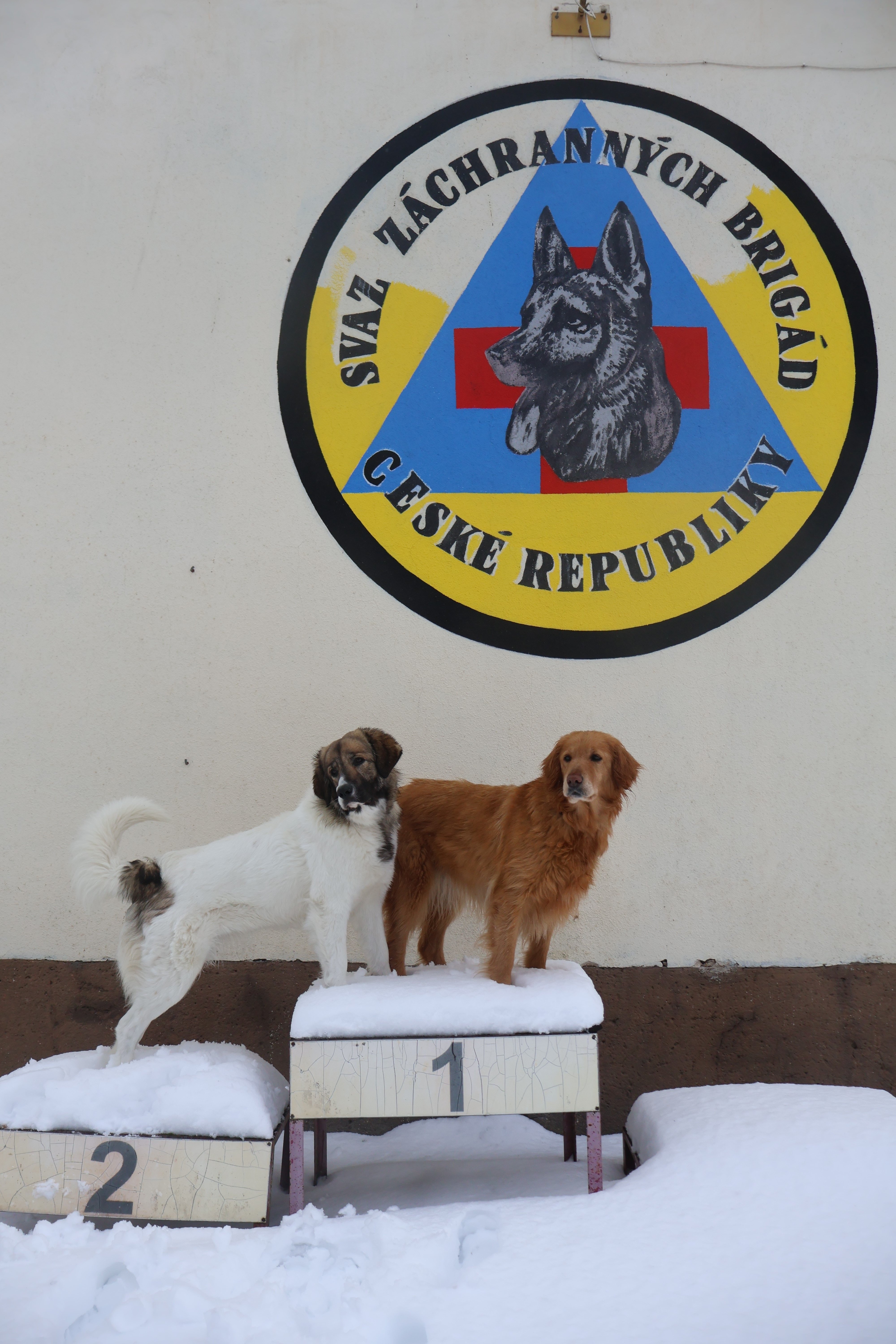 Akira Dědictví Athabasky zazářila na kynologickém soustředění záchranářů