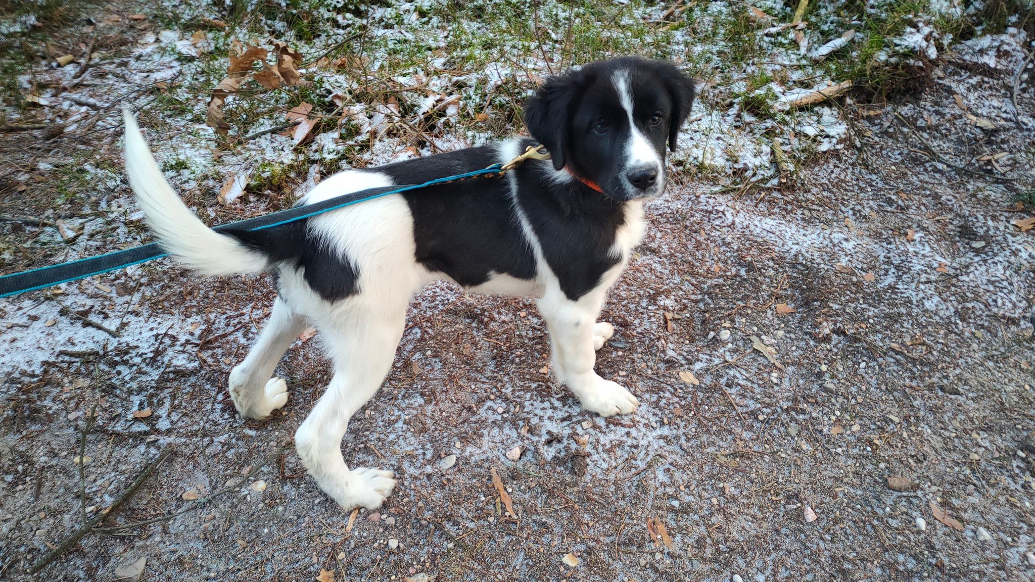 416082218_10225711438321417_8784271296063423047_n