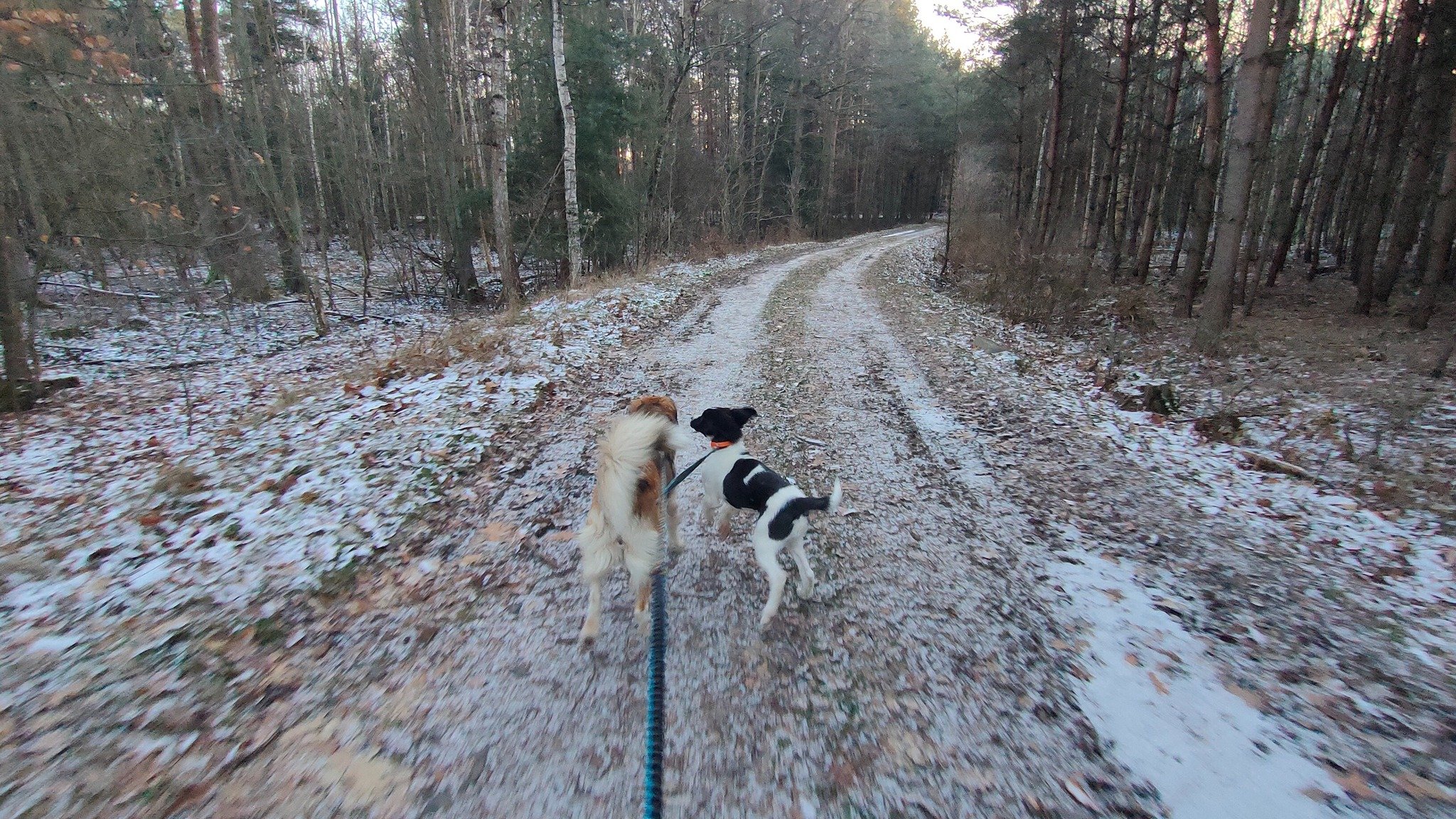 416114161_10225711438041410_8992506153575664843_n-1