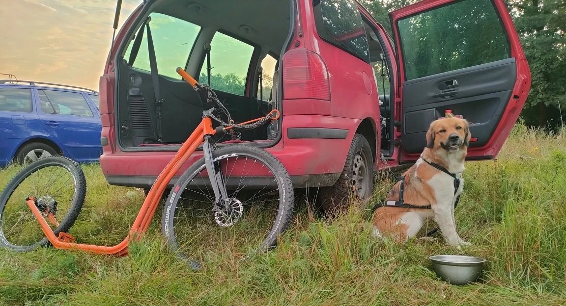 11th annual dog sports Saďák 2023 - Sadská - 8/20/2023