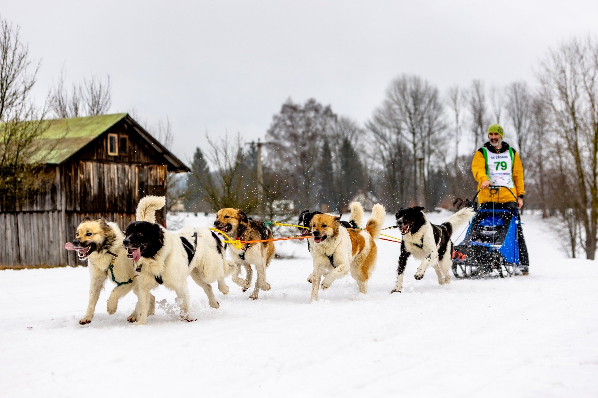 Zásadský dvoudenní sprint 2026
