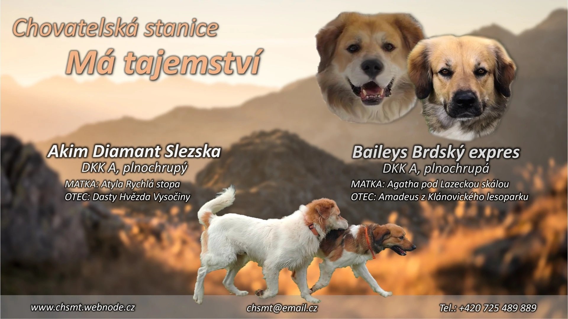 letak_vrh_A_CHP_BAILEYS_AKIM_v2