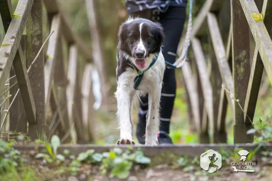 Obrazek-WhatsApp-2025-06-17-v-17 Obrazek-WhatsApp-2025-06-17-v-17