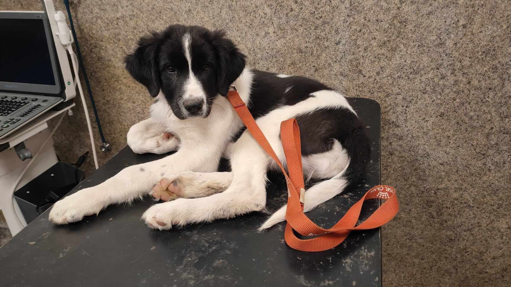 416833998_350708984490721_1019223016992314471_n