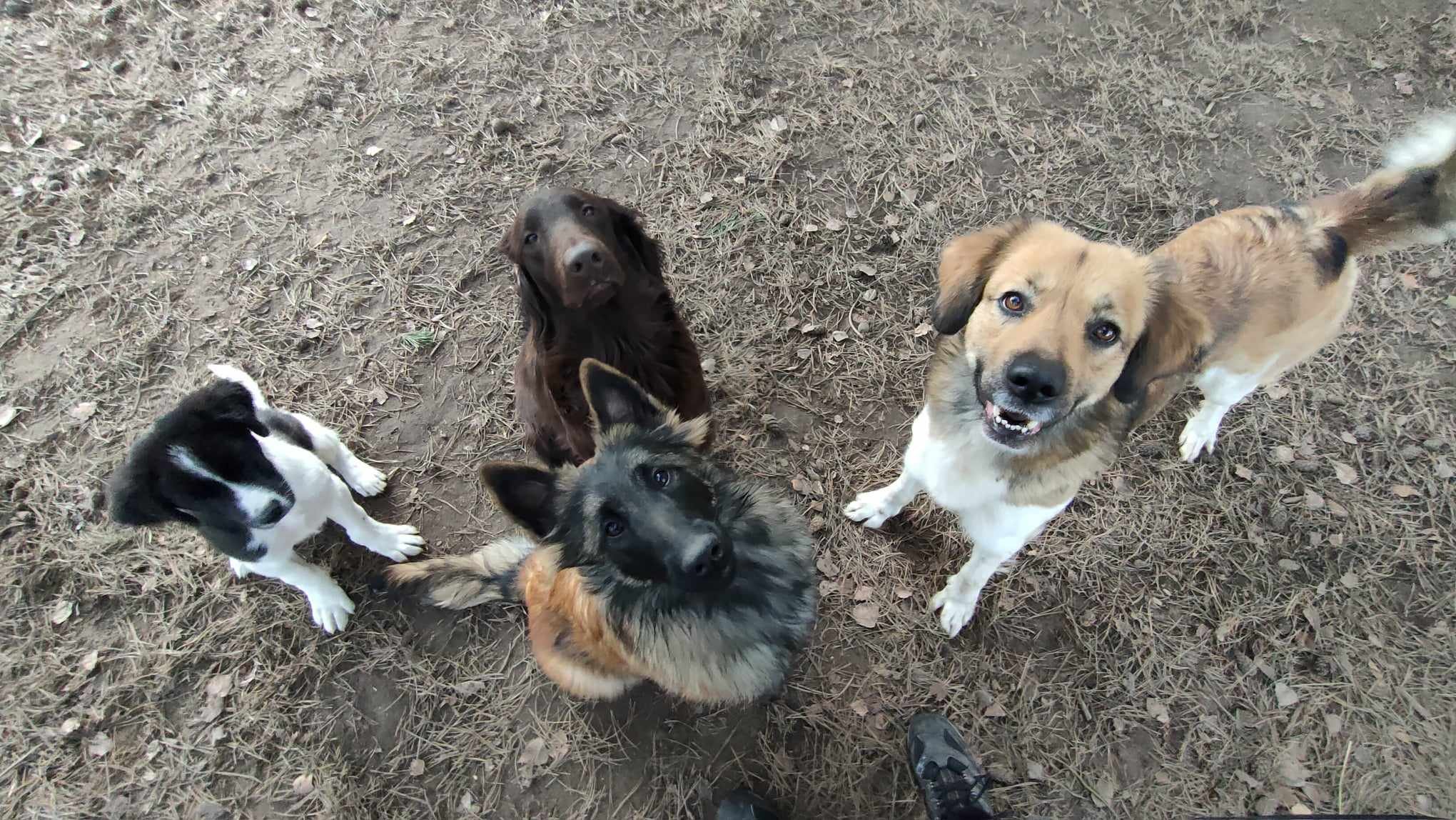 417042476_388401820388609_8573033266477840772_n