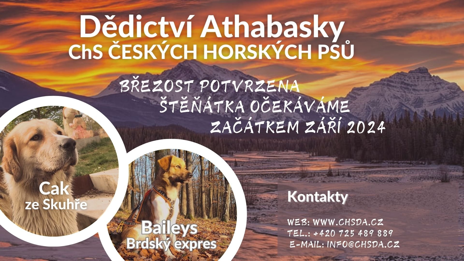 453507453_122162887958179825_8524201420560927281_n 453507453_122162887958179825_8524201420560927281_n