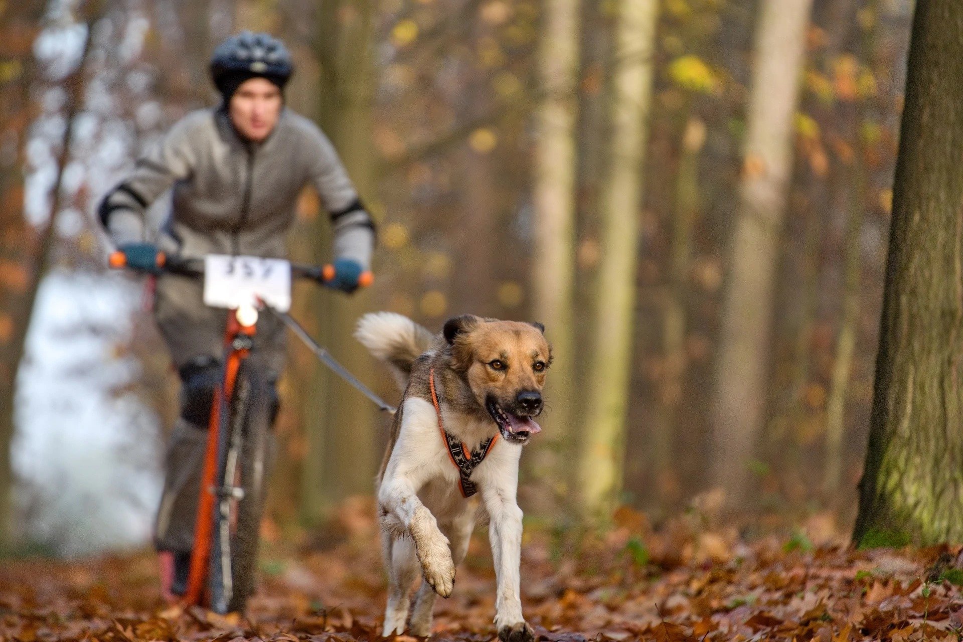 366063132_10224926975030325_4718178070226197370_n