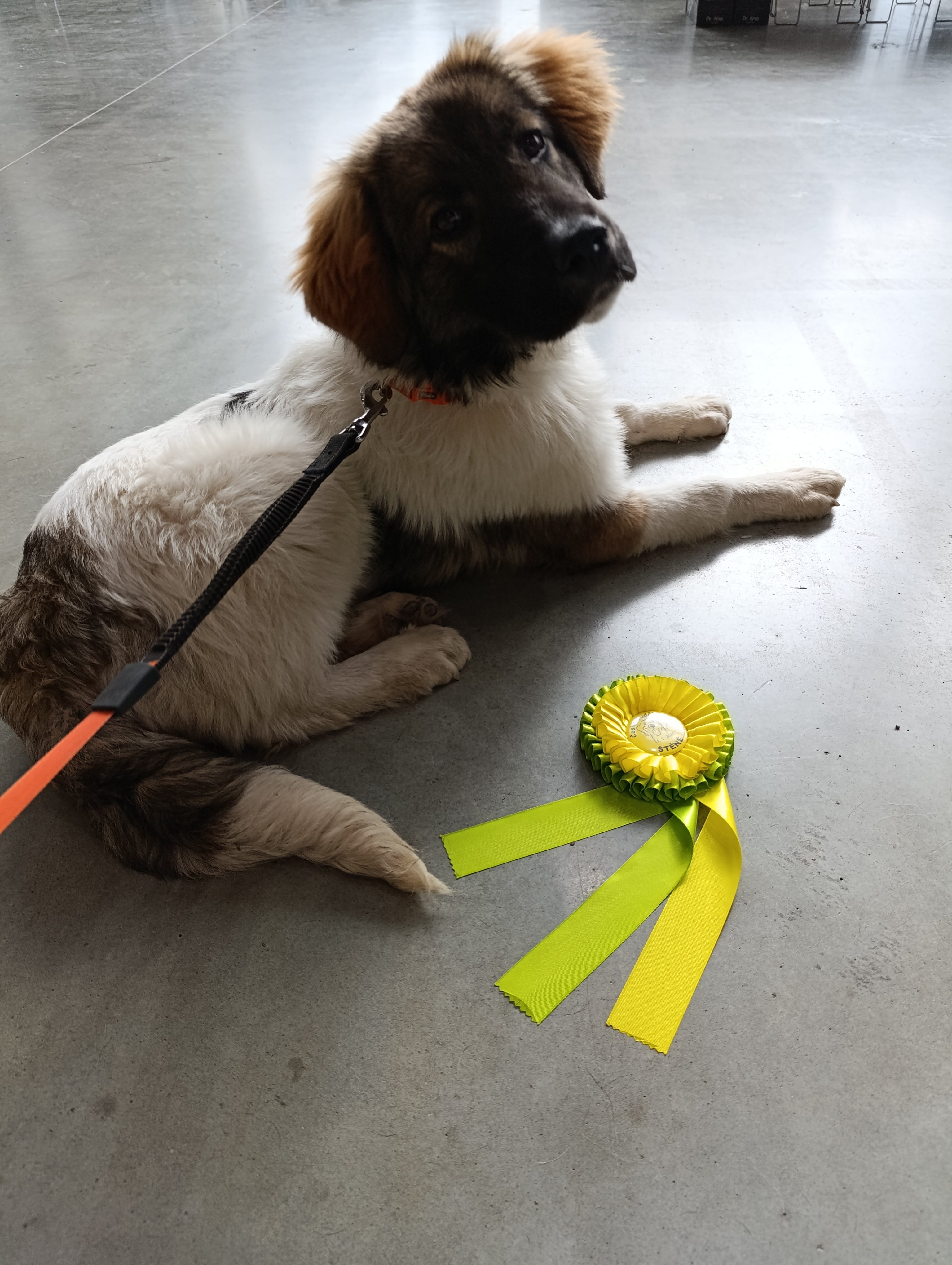 IMG_20250301_1310081_1