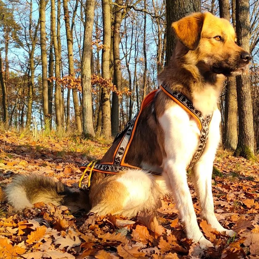 baileyweb-1 baileyweb-1