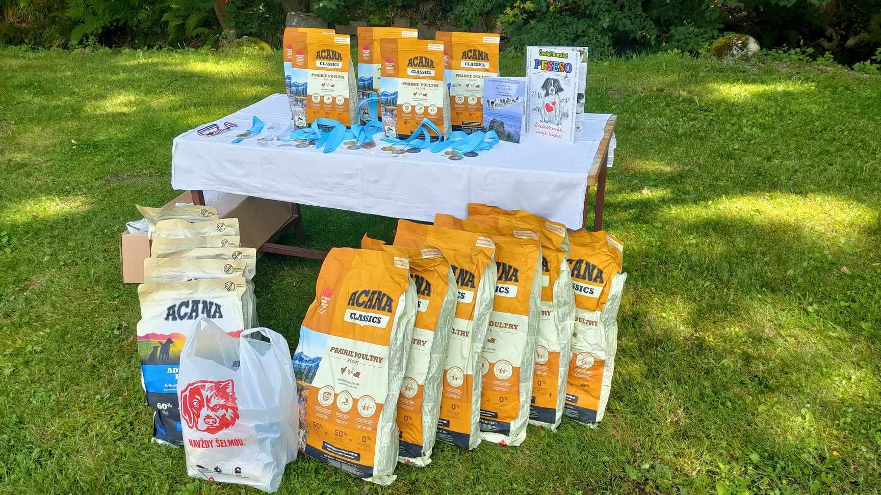 Leif's Track 2024 - A traditional race in an unconventional concept