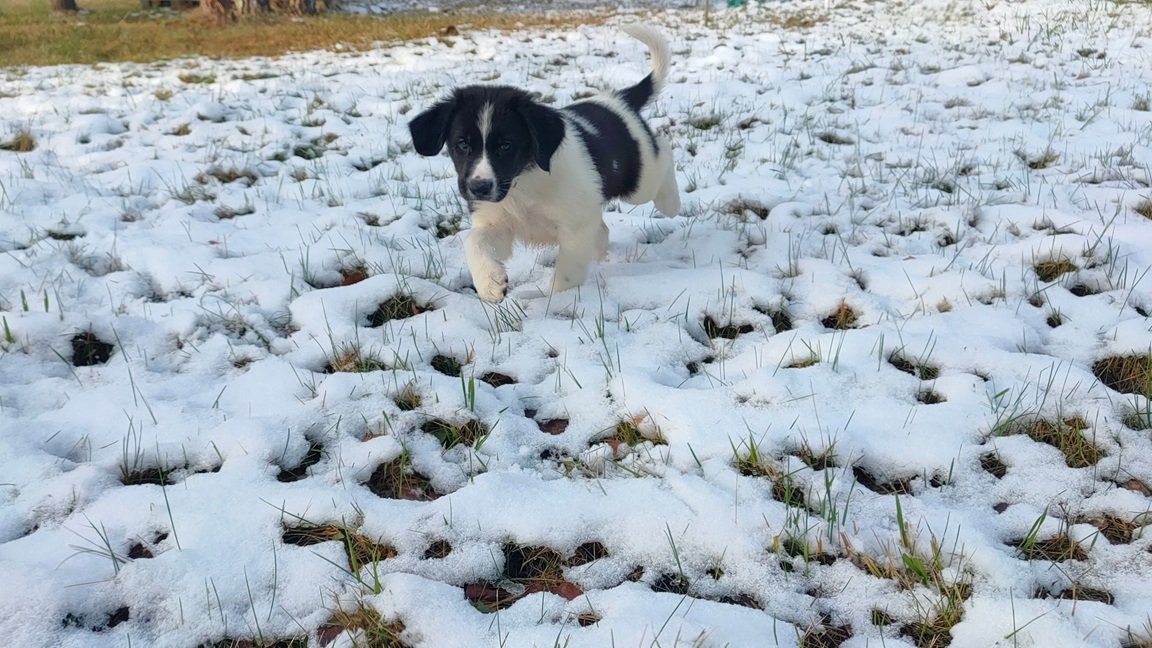 407290826_10225552170699826_7873068369204686217_n-1_1