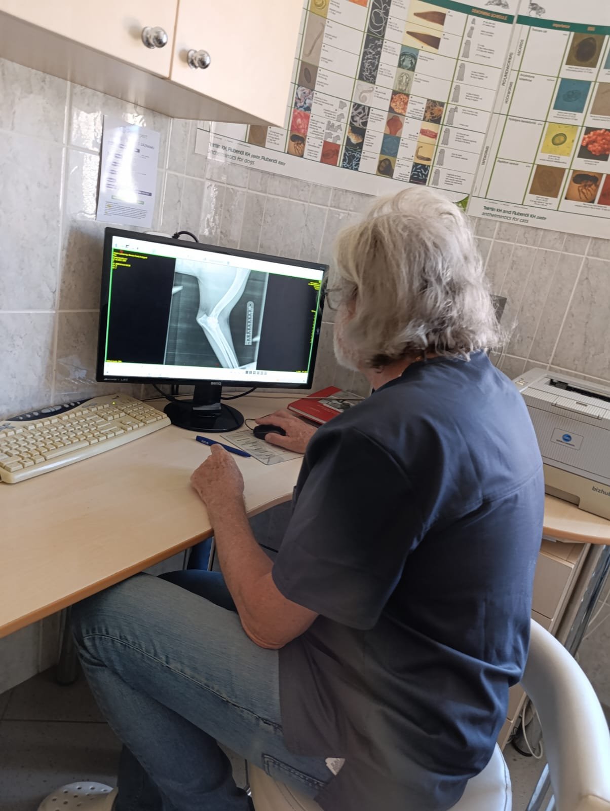 Zdravotní vyšetření Bereniky DKK, DKL a zubů máme na výbornou Zdravotní vyšetření Bereniky DKK, DKL a zubů máme na výbornou