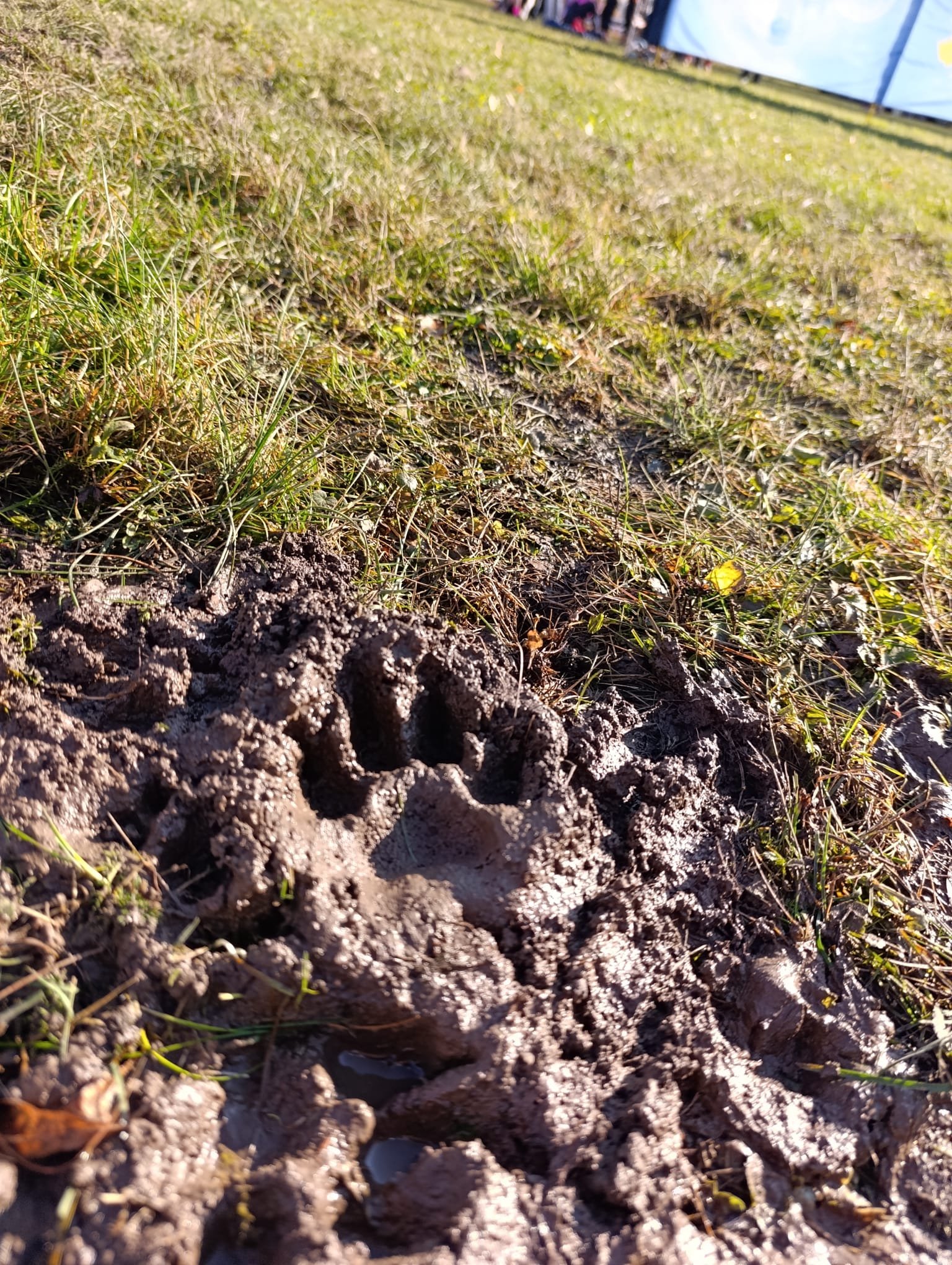 WhatsApp-Image-2025-12-28-at-19