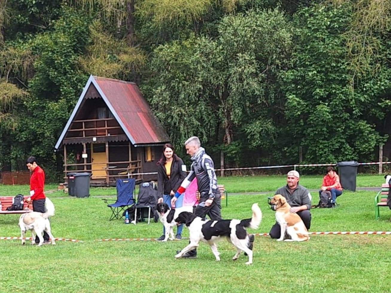 966783a2-1c9d-4ea6-bb4a-ac3fefa04136