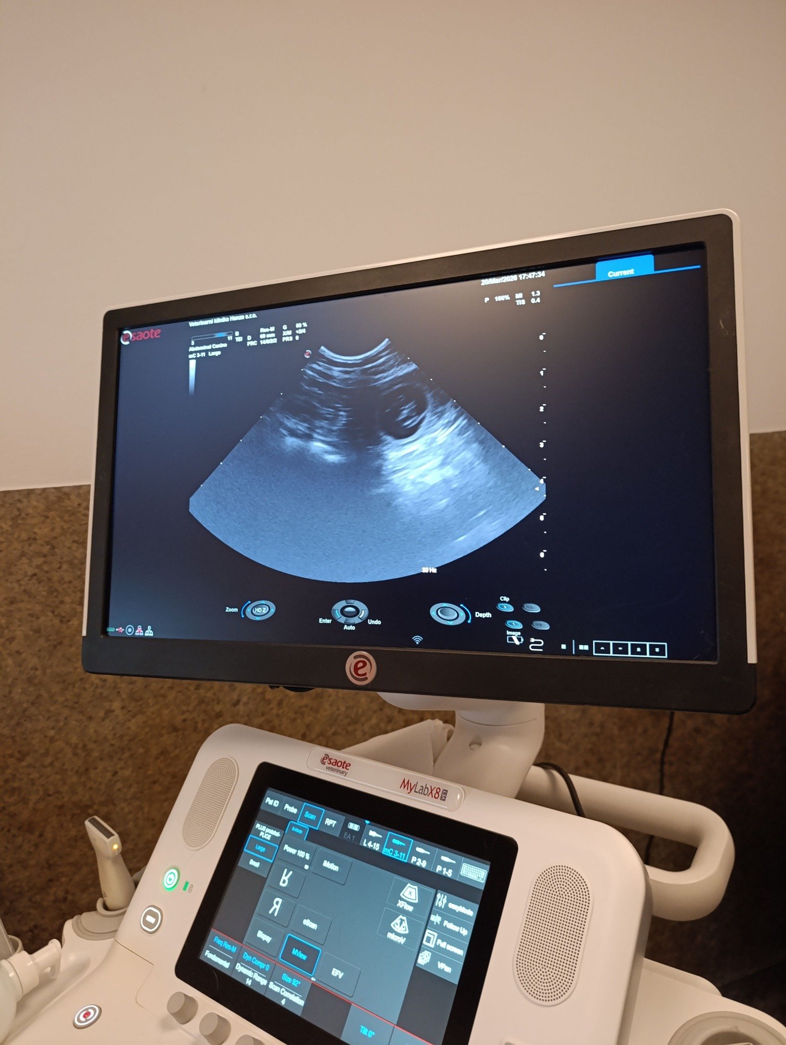 657516647_122263561136179825_3525039102472265172_n-1